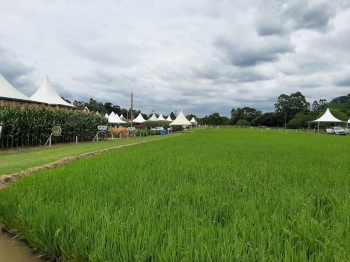 Cravil realiza Dia de Campo nos dias 30 e 31 de janeiro