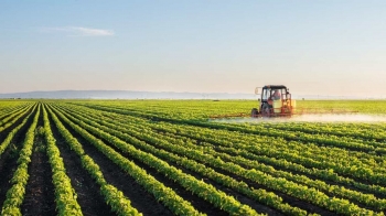 Agronegócio é pilar para reconstruir economia brasileira pós-coronavírus