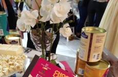 Clube das Luluzinhas em mais uma noite de empoderamento