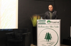 Programa Refloresta Alto Vale pretende atender demanda por matéria-prima na região