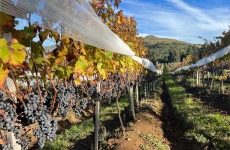 Osteria La Campagnaga: um local único para a realização de eventos exclusivos