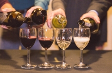 Wine Festival Casa & Design - um giro pelos melhores vinhos do mercado