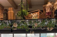 Queijos Possamai: empresa familiar há três gerações no mercado de laticínios, investe no crescimento de produção