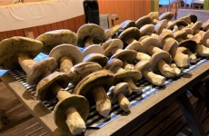 Osteria La Campagnaga: um local único para a realização de eventos exclusivos