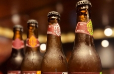 Herdt Bier: a cerveja da nossa terra
