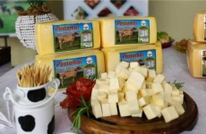 Queijos Possamai: empresa familiar há três gerações no mercado de laticínios, investe no crescimento de produção