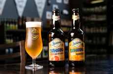 Catharina Sour é incluída definitivamente em guia internacional e se torna oficialmente primeiro estilo brasileiro de cerveja