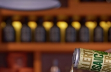 Cervejarias artesanais aderem as latas de alumínio para aumentar faturamento