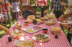 Vindima em Bento Gonçalves segue até março e tem passeio com Maria Fumaça