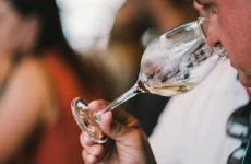 Wine Festival Casa & Design - um giro pelos melhores vinhos do mercado