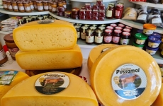 Queijos Possamai: empresa familiar há três gerações no mercado de laticínios, investe no crescimento de produção