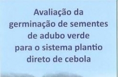 Pesquisas da Epagri com adubação e nutrição de cebola são referências para o Brasil
