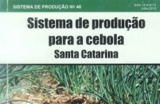 Pesquisas da Epagri com adubação e nutrição de cebola são referências para o Brasil