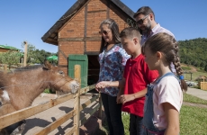 Muita diversão no Dia das Crianças no Olivas de Gramado