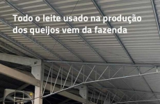 Queijos Possamai: empresa familiar há três gerações no mercado de laticínios, investe no crescimento de produção