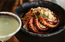 Alfred Bar e Burger: experiência gastronômica que une tradição e ousadia em Ibirama