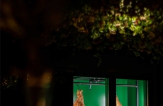 Restaurante Catherine traz alma feminina, personalidade, arte e gastronomia de alto nível para Gramado