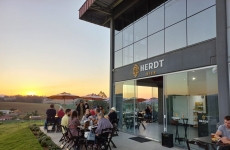 Herdt Bier: a cerveja da nossa terra