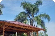 Recanto Akaiaka: restaurante à base de tilápia é o local ideal para seu final de semana