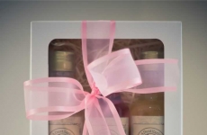 ADestilaria: O primeiro e único gin artesanal de Rio do Sul