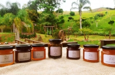 AmoraMor Geleias Especiais: empresárias lançam produtos para difundir a boa culinária e o melhor da gastronomia