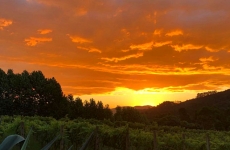 Estância do Vino: unindo história, vinho e gastronomia