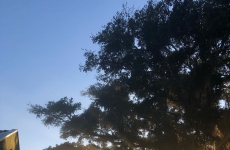 Estância do Vino: unindo história, vinho e gastronomia