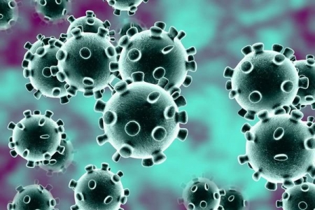 Coronavírus no Brasil: pânico ou exagero?