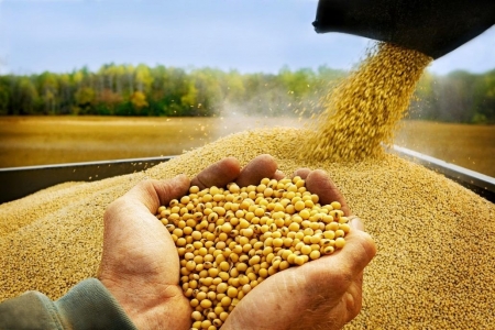 Produção de grãos do país crescerá 27% na próxima década, prevê estudo do Ministério