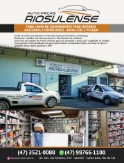 REVISTA SUCESSO AUTOS – EDIÇÃO 02 | Página 11